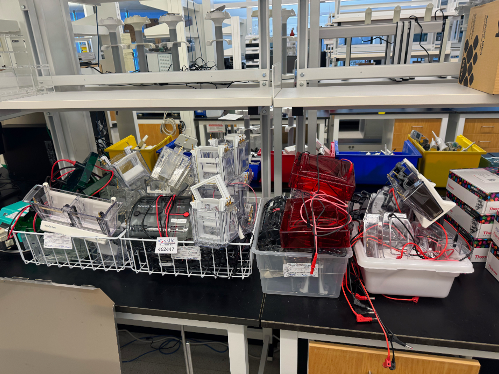 Image of Lot Of Electrophoresis Supplies